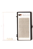 Pre-Made Fan Lashes 3D