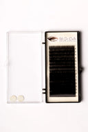 Volume Lashes