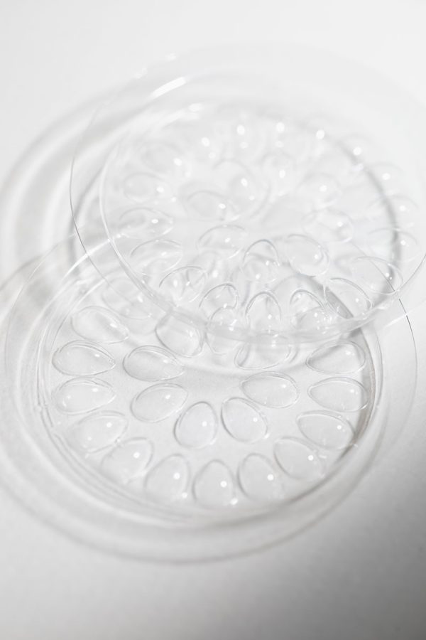 Lash Glue Tray